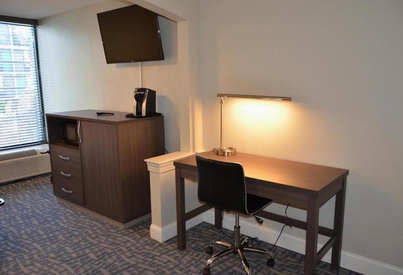 带大床的行政房间, Opal Hotel & Suites