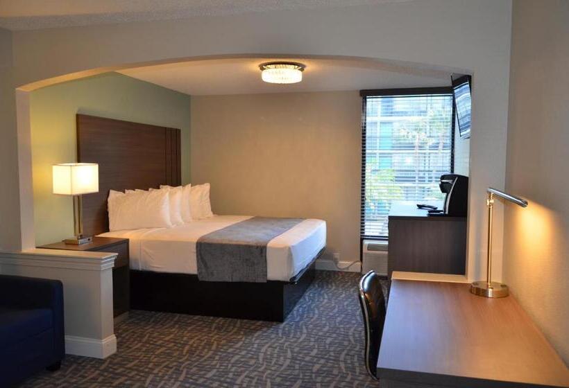 اتاق اجرایی با تخت بزرگ, Opal Hotel & Suites