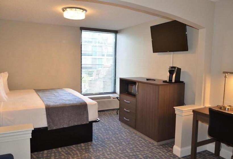 带大床的行政房间, Opal Hotel & Suites