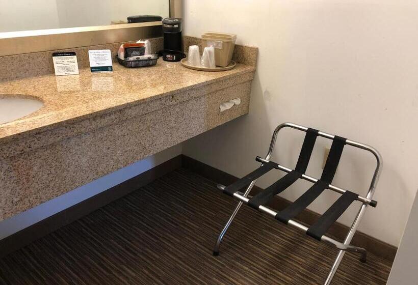 Mozgáskorlátozott Standard Szoba King Size Bed, Quality Inn Bennettsville