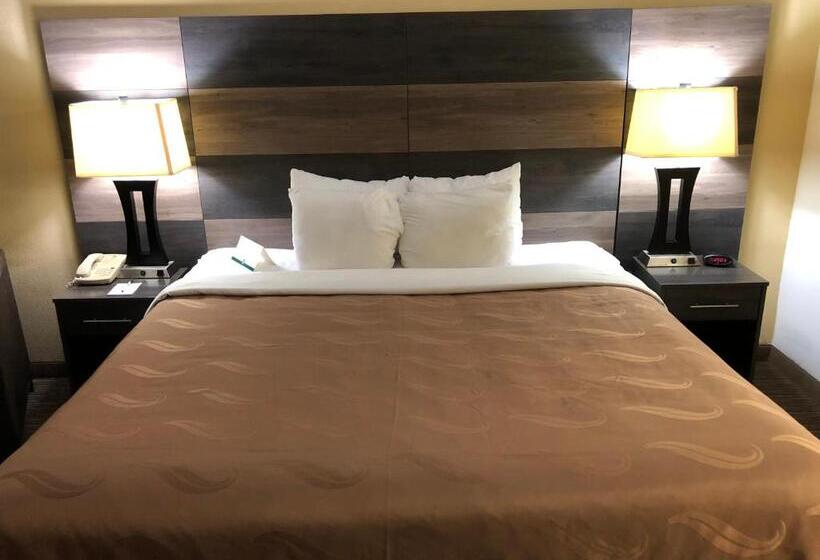 غرفة قياسية سرير كينج لذوى الإحتياجات الخاصة, Quality Inn Bennettsville