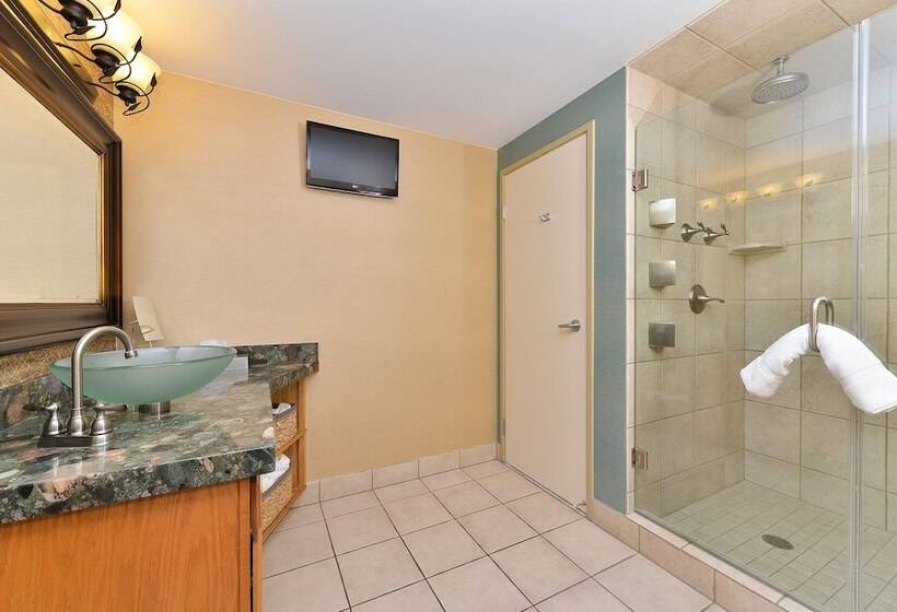 スタンダードルーム, Holiday Inn Cody   Convention Center, An Ihg