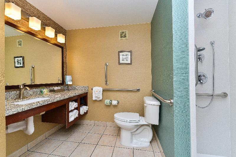 Номер Стандарт Кровать Кинг Адаптированный для Инвалидов, Holiday Inn Cody   Convention Center, An Ihg