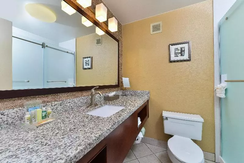 身障者適用キングサイズベッドルーム, Holiday Inn Cody   Convention Center, An Ihg