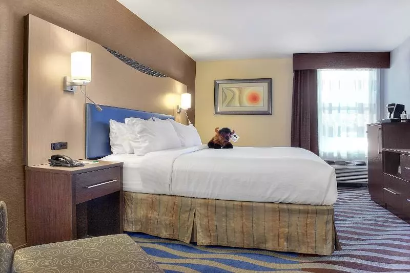 身障者適用キングサイズベッドルーム, Holiday Inn Cody   Convention Center, An Ihg