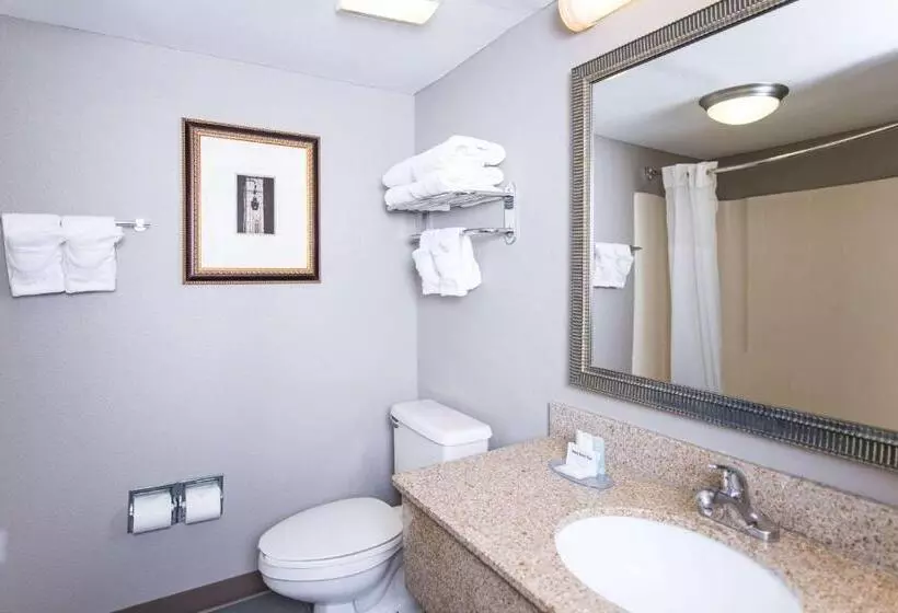Sviitti King-vuode, Clarion Hotel & Conference Center Leesburg