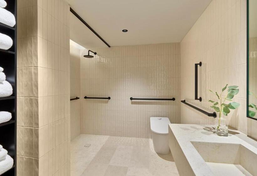 Quarto Estandar Cama King para Deficientes Físicos, Aka Alexandria