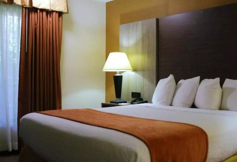 スタンダードルーム, Best Western Galleria Inn & Suites
