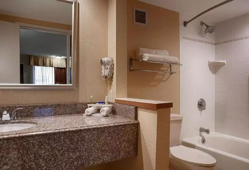 身障者適用スタンダードルーム, Best Western Galleria Inn & Suites