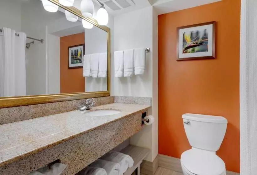 キングサイズベッドのスタンダードルーム, Best Western Plus Rockwall Inn & Suites