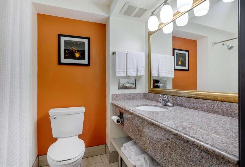 חדר סטנדרט שתי מיטות זוגיות, Best Western Plus Rockwall Inn & Suites