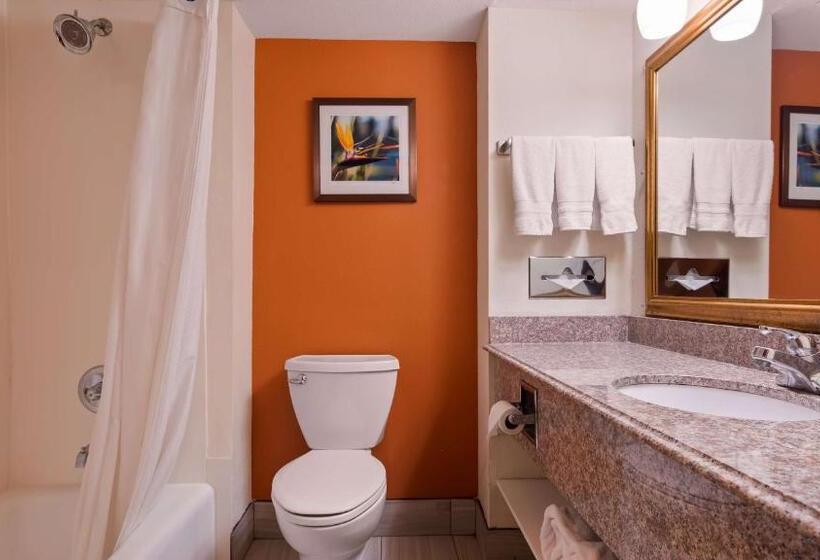 מיטת קינג בסוויטה, Best Western Plus Rockwall Inn & Suites