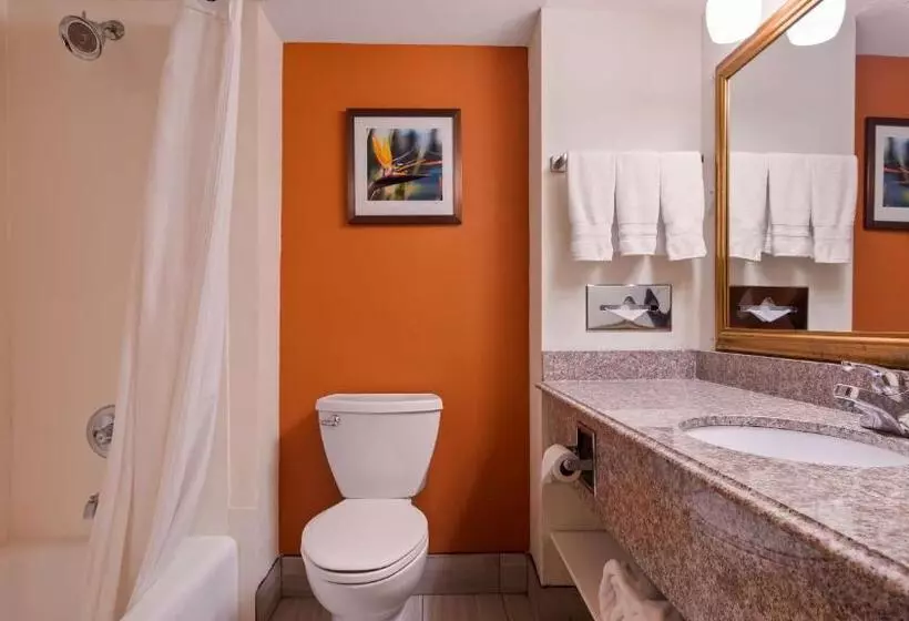 キングサイズベッドのスイートルーム, Best Western Plus Rockwall Inn & Suites