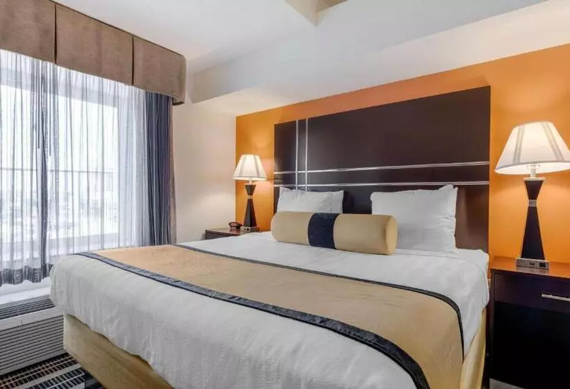 キングサイズベッドのジュニアスイート, Best Western Plus Rockwall Inn & Suites