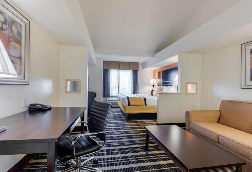 Полулюкс Кровать Кинг, Best Western Plus Rockwall Inn & Suites