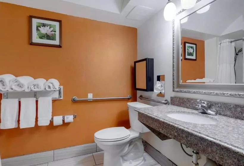 身障者適用スイートルーム, Best Western Plus Rockwall Inn & Suites