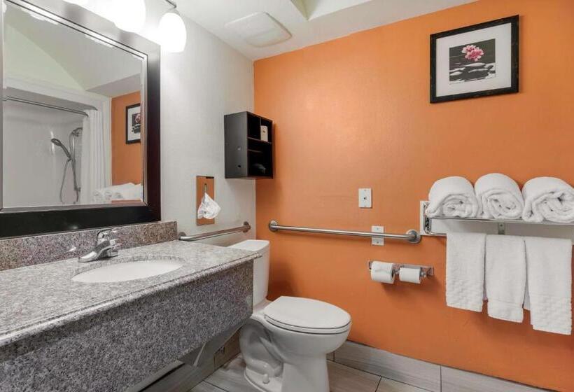 סוויטה מותאמת לאדם עם מוגבלויות, Best Western Plus Rockwall Inn & Suites