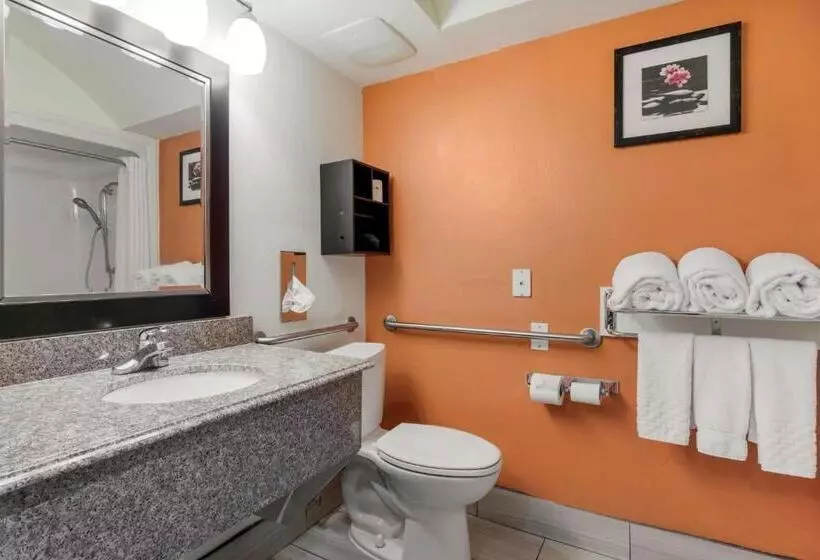 身障者適用スイートルーム, Best Western Plus Rockwall Inn & Suites