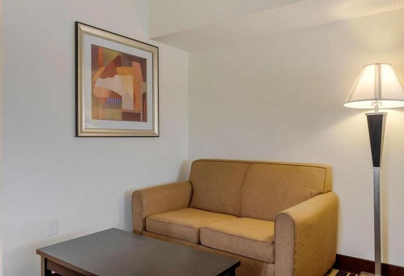 适合残疾人士使用的套间, Best Western Plus Rockwall Inn & Suites