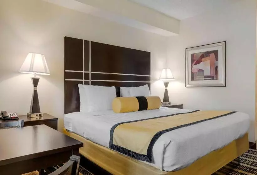 身障者適用キングサイズベッドルーム, Best Western Plus Rockwall Inn & Suites