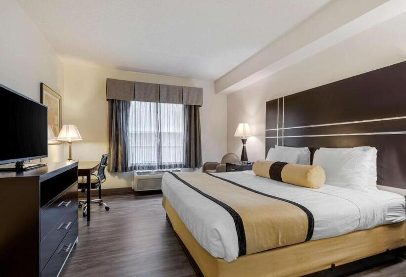 Номер Стандарт Кровать Кинг Адаптированный для Инвалидов, Best Western Plus Rockwall Inn & Suites