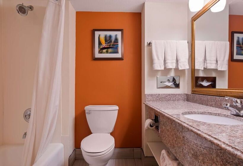 חדר סטנדרט שתי מיטות זוגיות, Best Western Plus Rockwall Inn & Suites