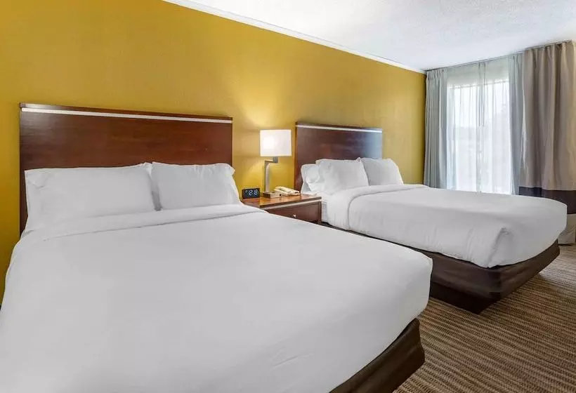 اتاق استاندارد با 2 تخت دوبل, Comfort Inn Roanoke Civic Center