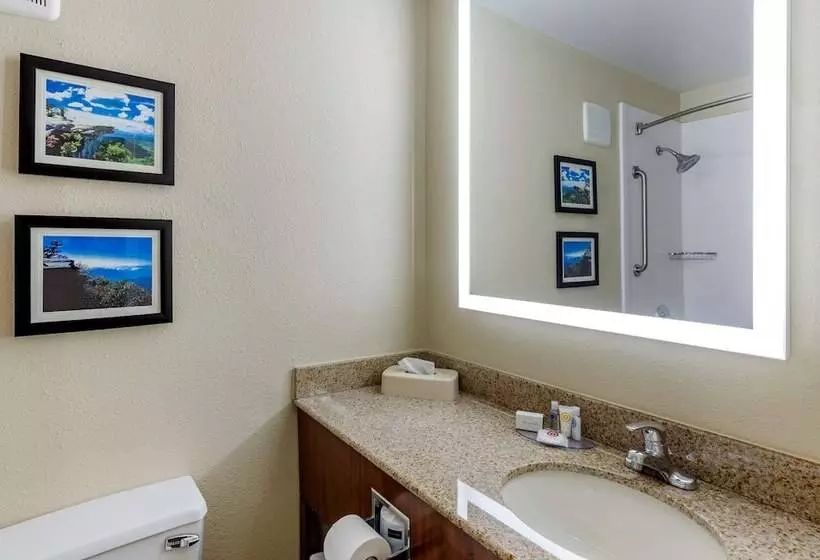 اتاق استاندارد با 2 تخت دوبل, Comfort Inn Roanoke Civic Center