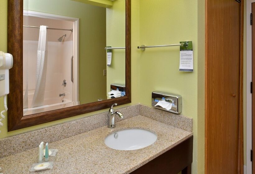 Люкс, Comfort Inn & Suites Black River Falls I94