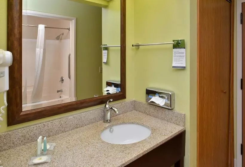 Sviitti, Comfort Inn & Suites Black River Falls I94