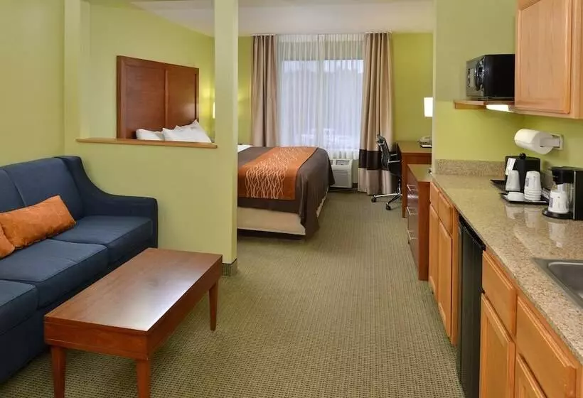 Sviitti, Comfort Inn & Suites Black River Falls I94