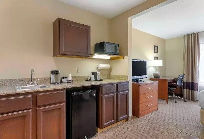 Sviitti, Comfort Inn & Suites Black River Falls I94