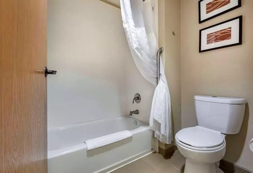 Sviitti, Comfort Inn & Suites Black River Falls I94