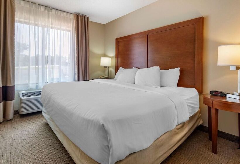 جناح, Comfort Inn & Suites Black River Falls I94