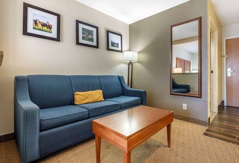 جناح, Comfort Inn & Suites Black River Falls I94