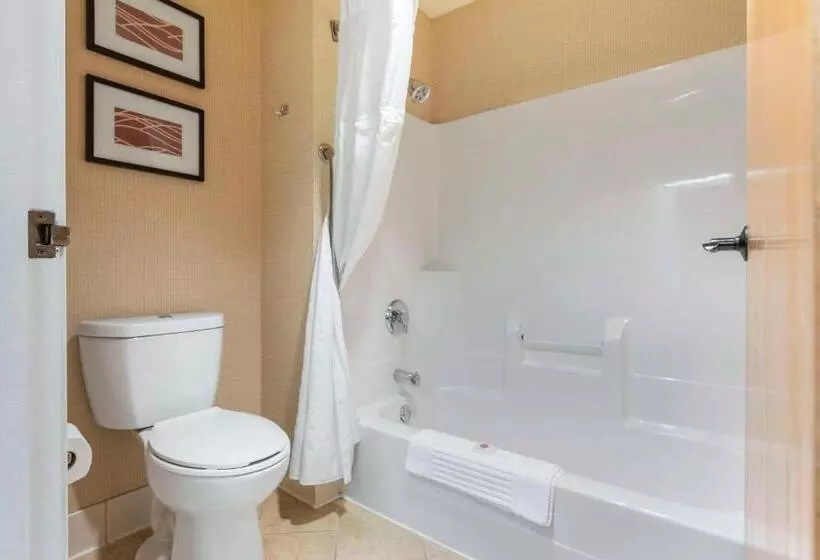 Standard-huone King-vuode, Comfort Inn & Suites Black River Falls I94