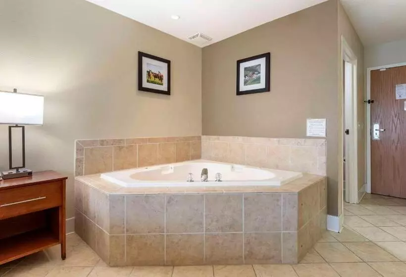Standard-huone King-vuode, Comfort Inn & Suites Black River Falls I94