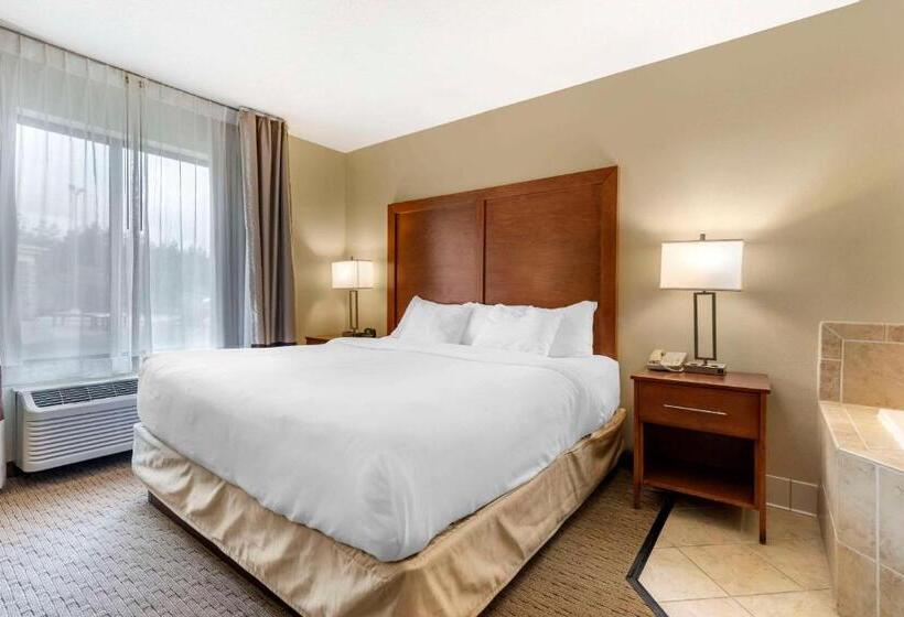 Стандартный Номер Кровать Кинг, Comfort Inn & Suites Black River Falls I94