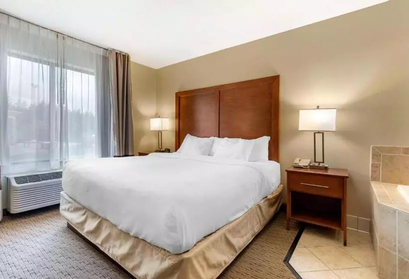 Standard-huone King-vuode, Comfort Inn & Suites Black River Falls I94