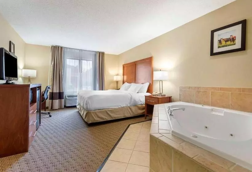 Standard-huone King-vuode, Comfort Inn & Suites Black River Falls I94