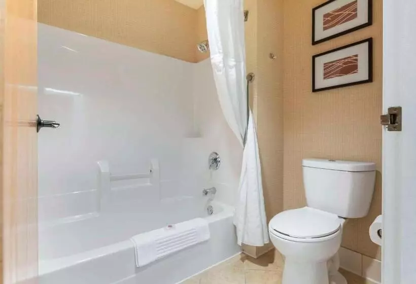 Standard-huone, Comfort Inn & Suites Black River Falls I94