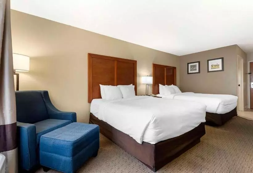 Standard-huone, Comfort Inn & Suites Black River Falls I94