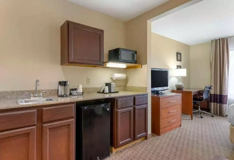 Sviitti King-vuode, Comfort Inn & Suites Black River Falls I94