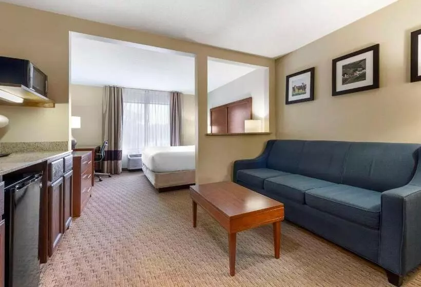 Sviitti King-vuode, Comfort Inn & Suites Black River Falls I94