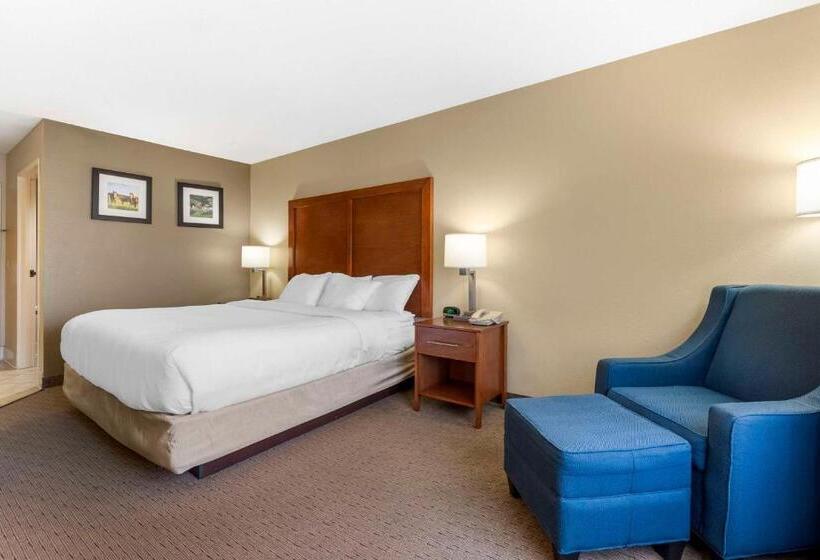 غرفة قياسية سرير كينج لذوى الإحتياجات الخاصة, Comfort Inn & Suites Black River Falls I94