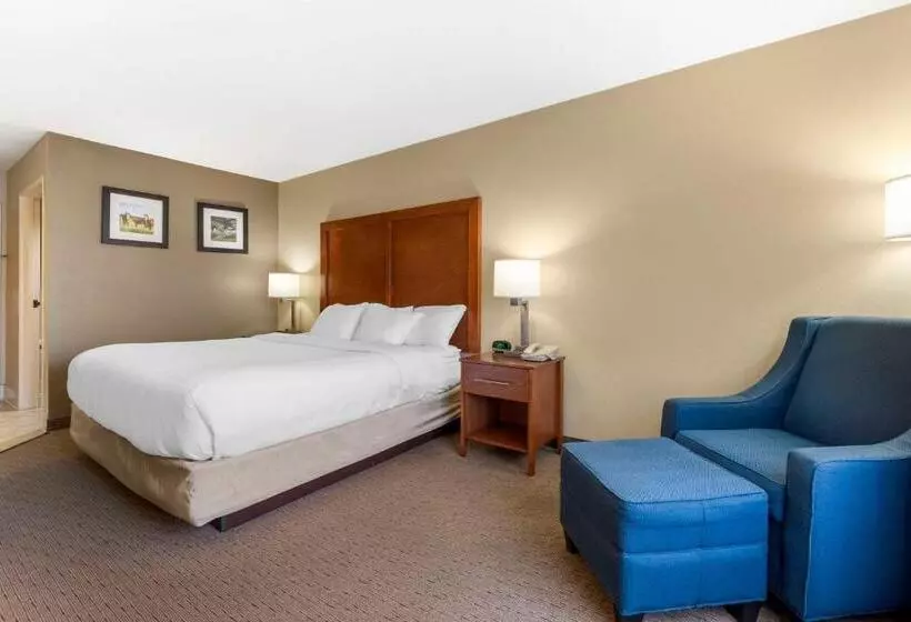 Standard-invahuone King-vuode, Comfort Inn & Suites Black River Falls I94