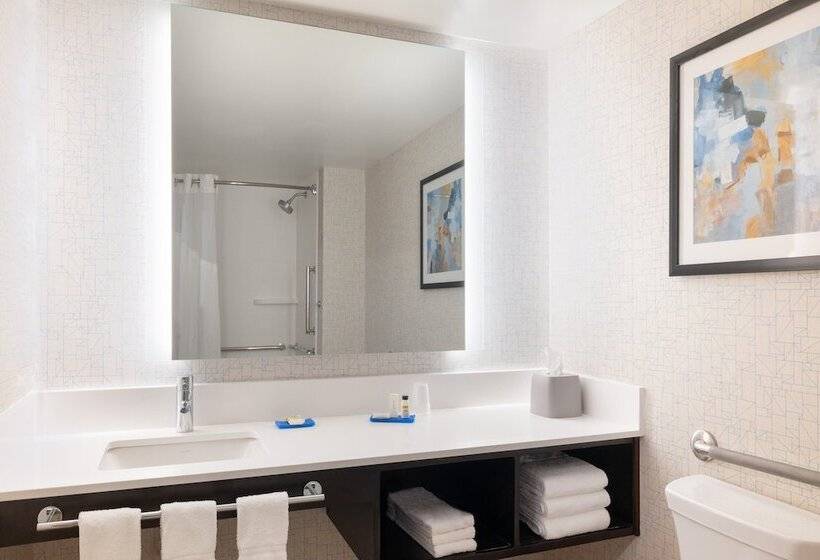 장애인을 위한 스탠다드 룸, Holiday Inn Express & Suites Boston   Cambridge, An Ihg