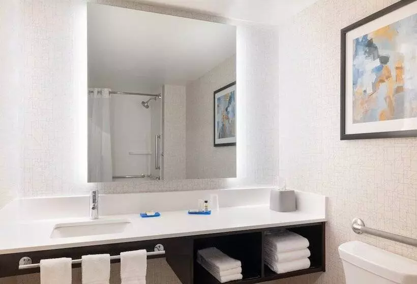 اتاق استاندارد برای معلولان, Holiday Inn Express & Suites Boston   Cambridge, An Ihg