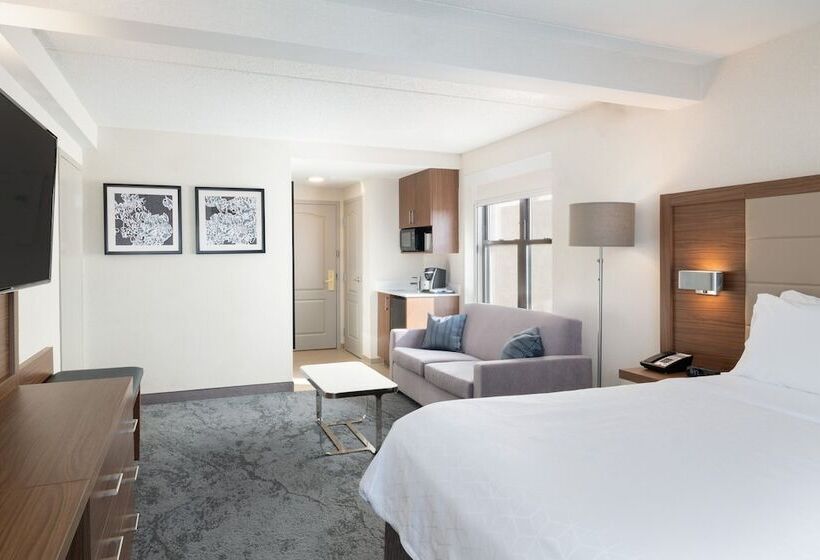 스위트, Holiday Inn Express & Suites Boston   Cambridge, An Ihg