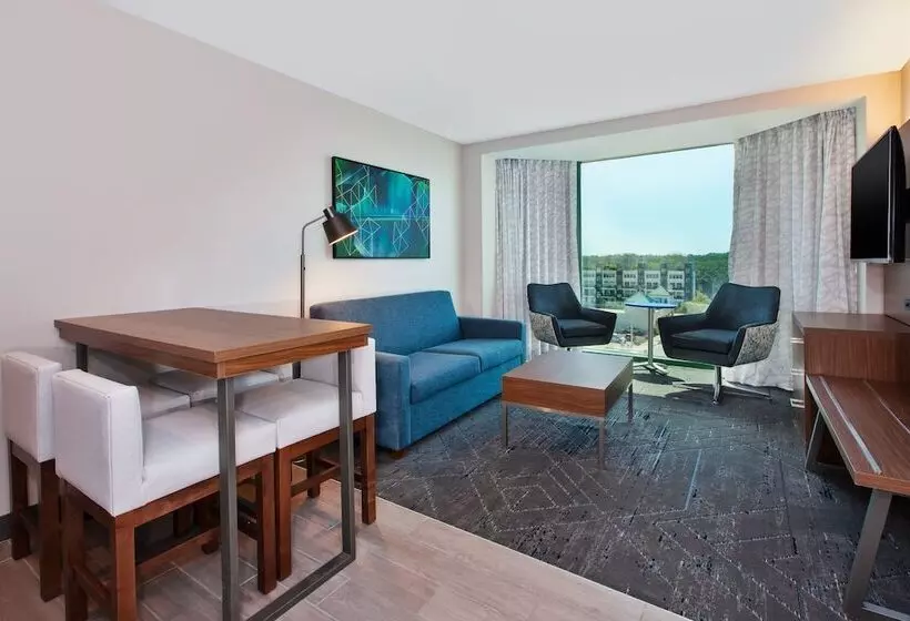 スイート, Holiday Inn Express Hotel & Suites Virginia Beach Oceanfront, An Ihg